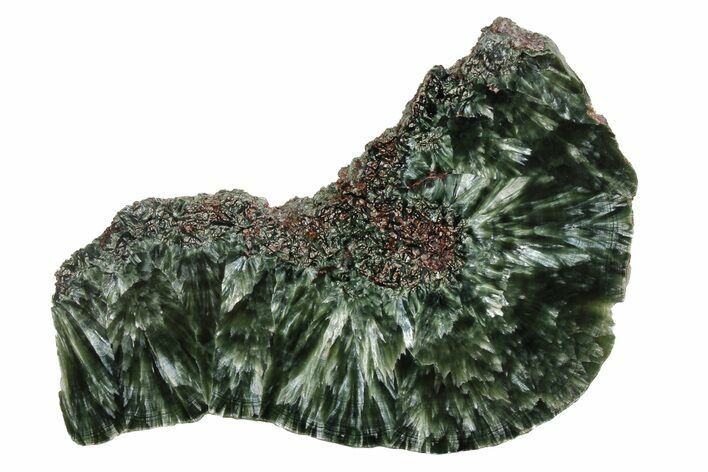 Polished Seraphinite Section - Siberia #174920